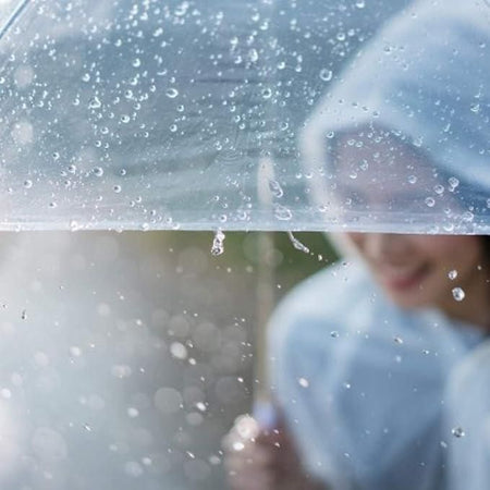 Transparent Dome Umbrella